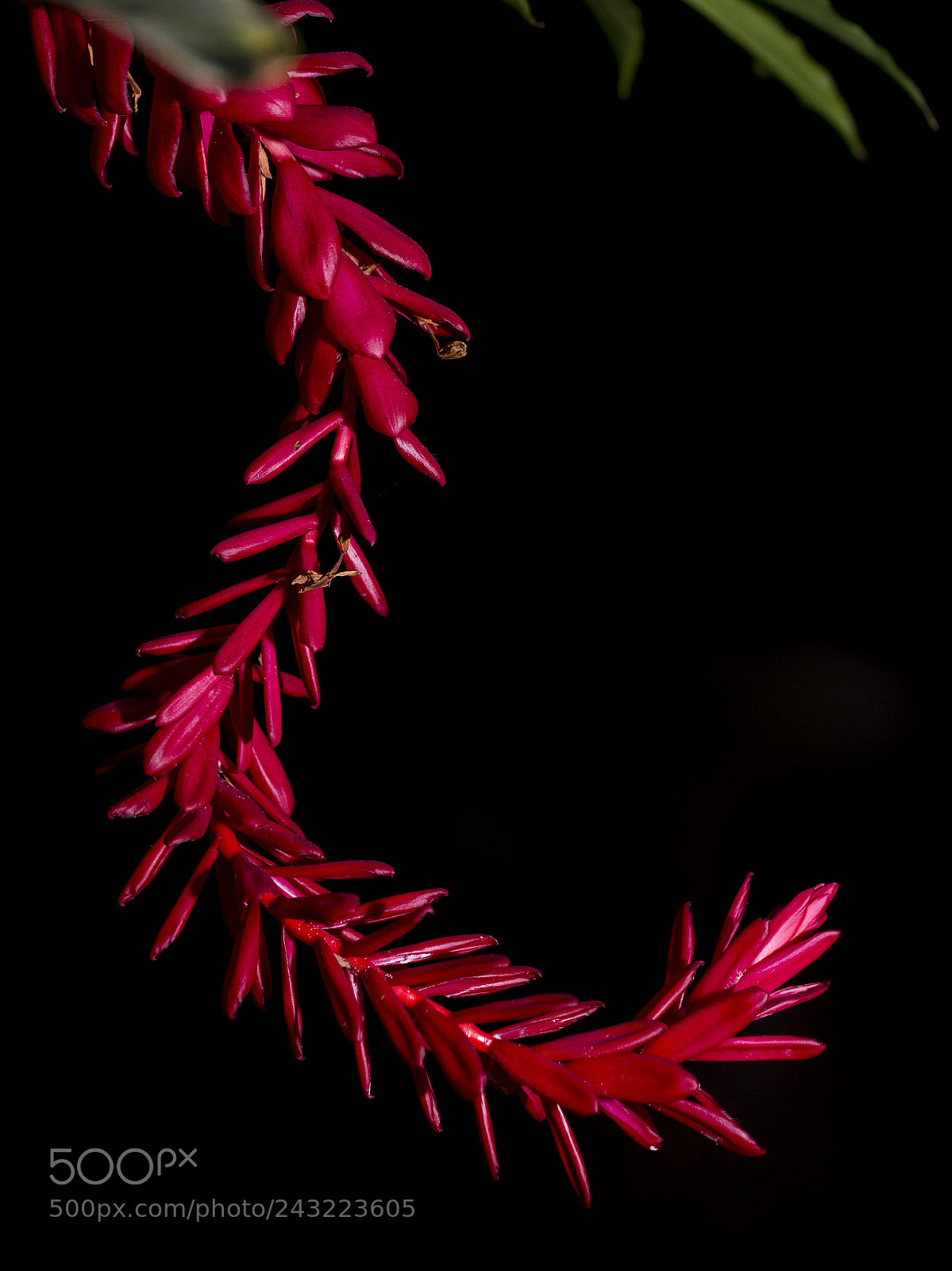Nikon D610 sample photo. Hd photography