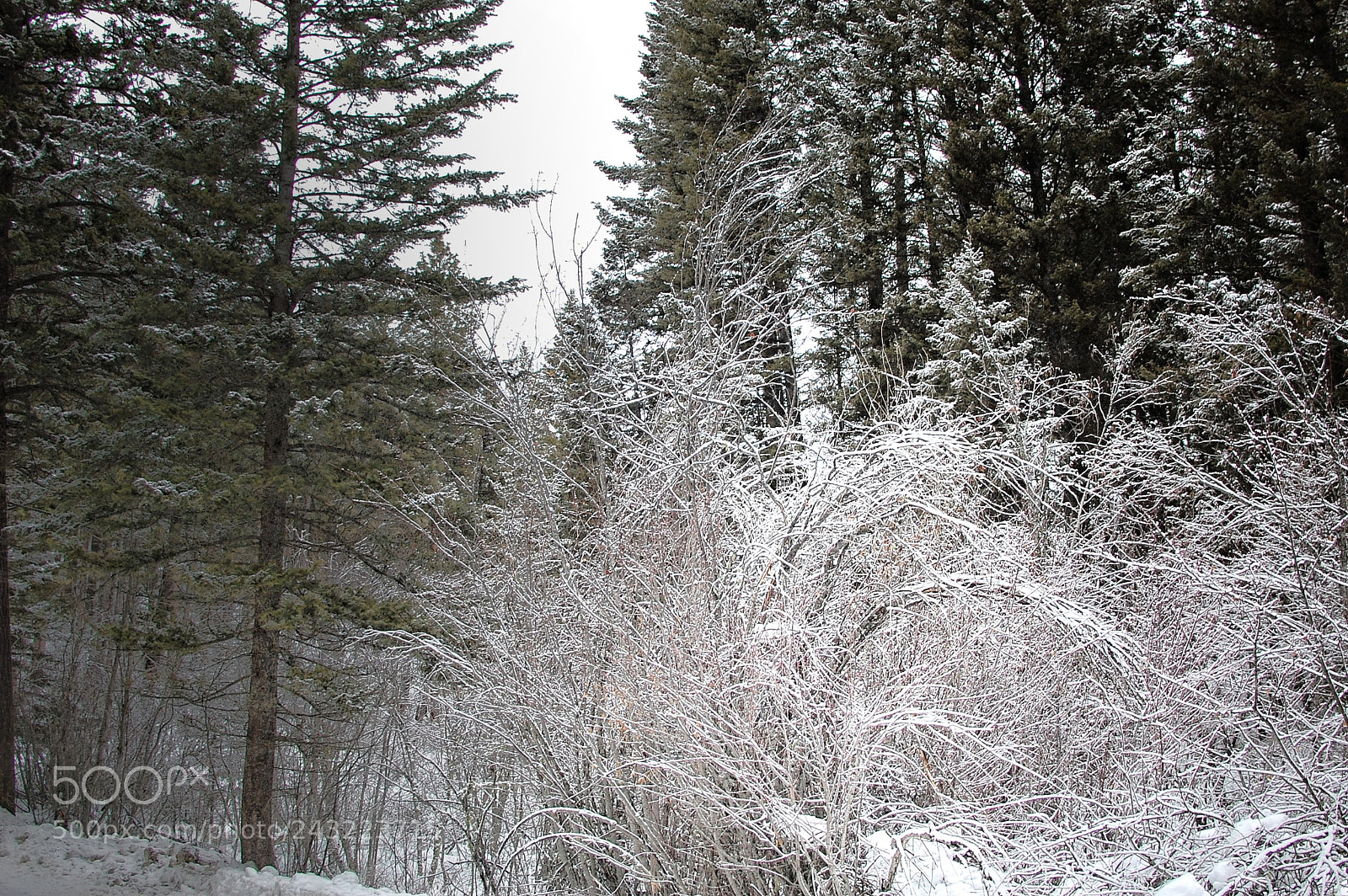 Nikon D40 sample photo. Outs standing photography