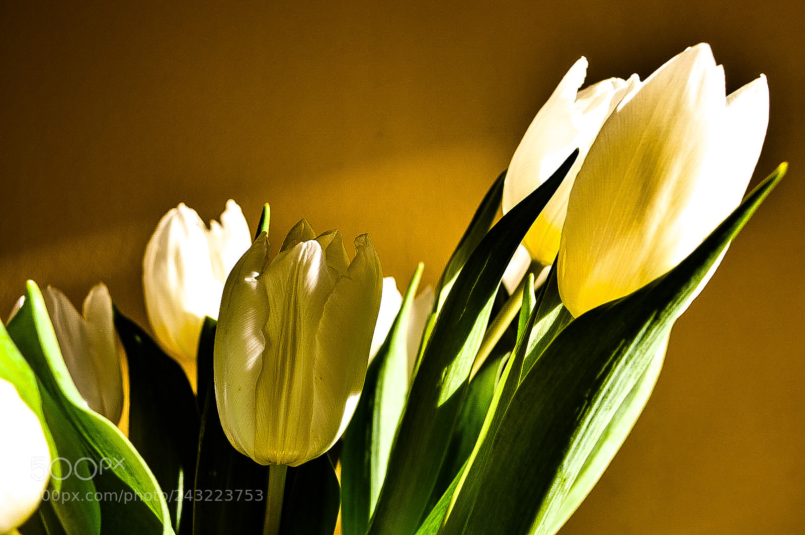 Nikon D3200 sample photo. Untitled photography