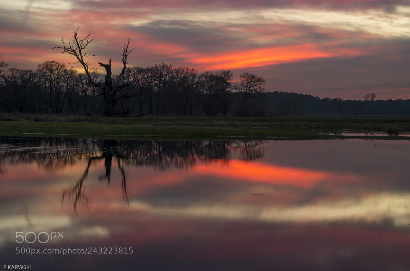 Pentax K-50 sample photo. Reflection in the water photography
