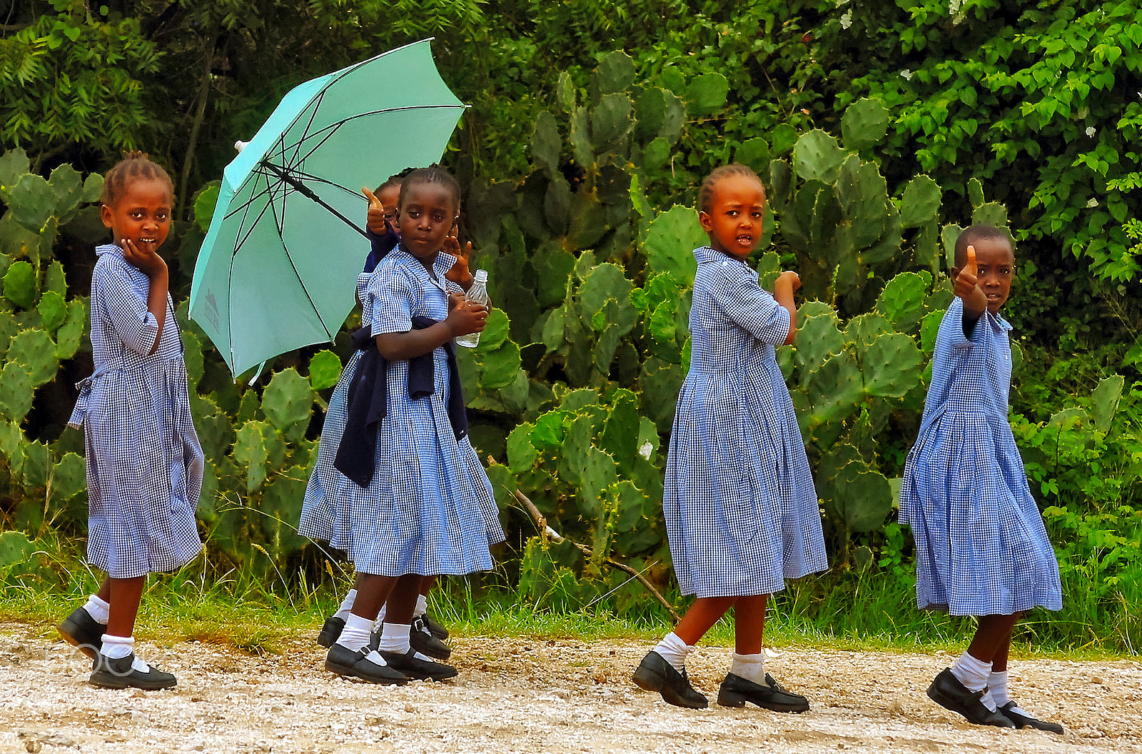 Pentax *ist D sample photo. Schoolgirls in mombasa. photography