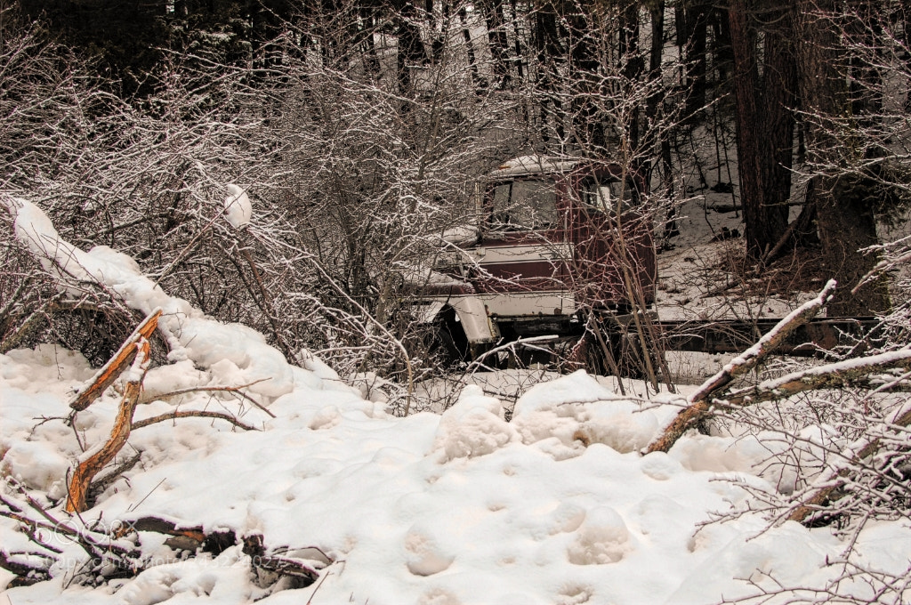 Nikon D40 sample photo. Old pick up photography