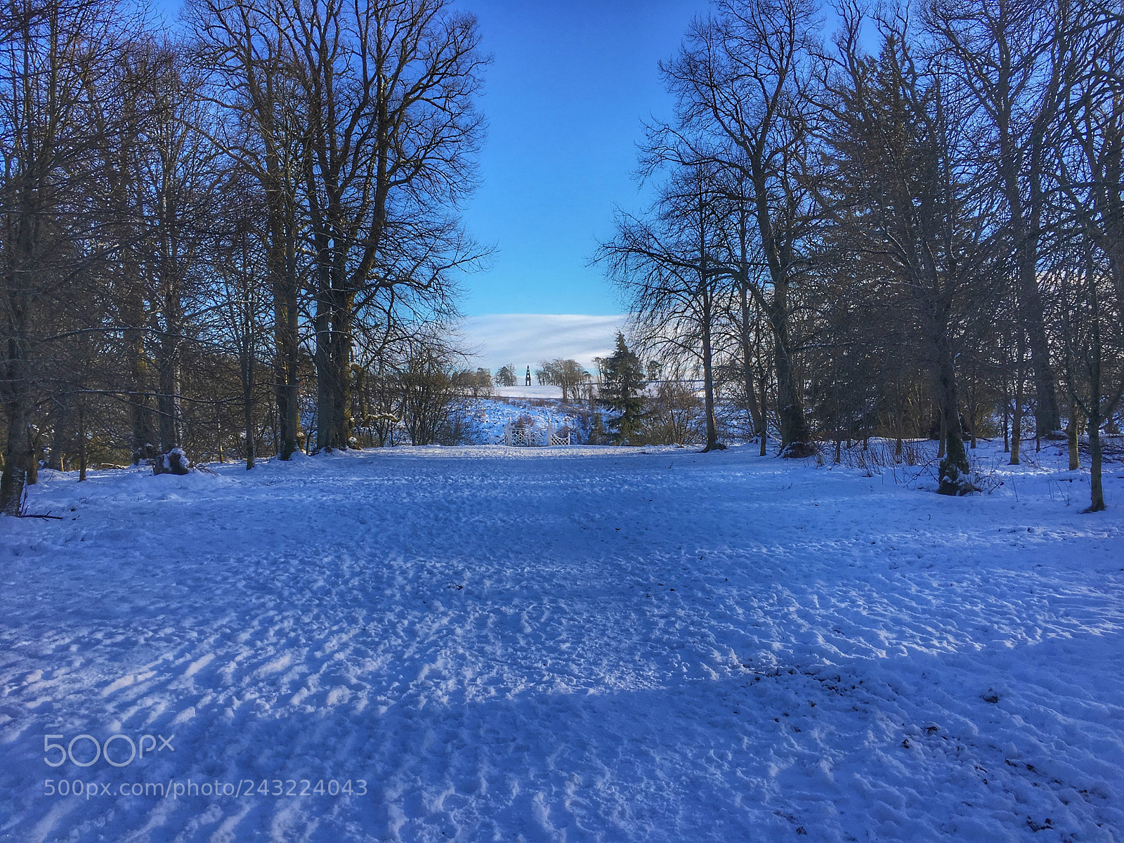 Apple iPhone 6s sample photo. Snow blue photography