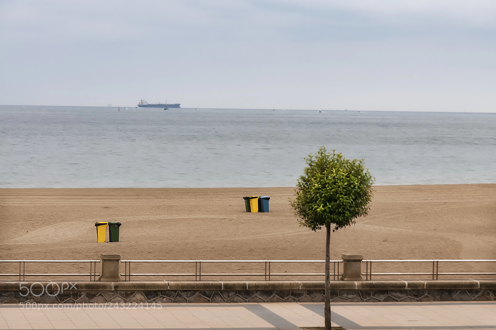 Nikon D300S sample photo. The swimmer photography