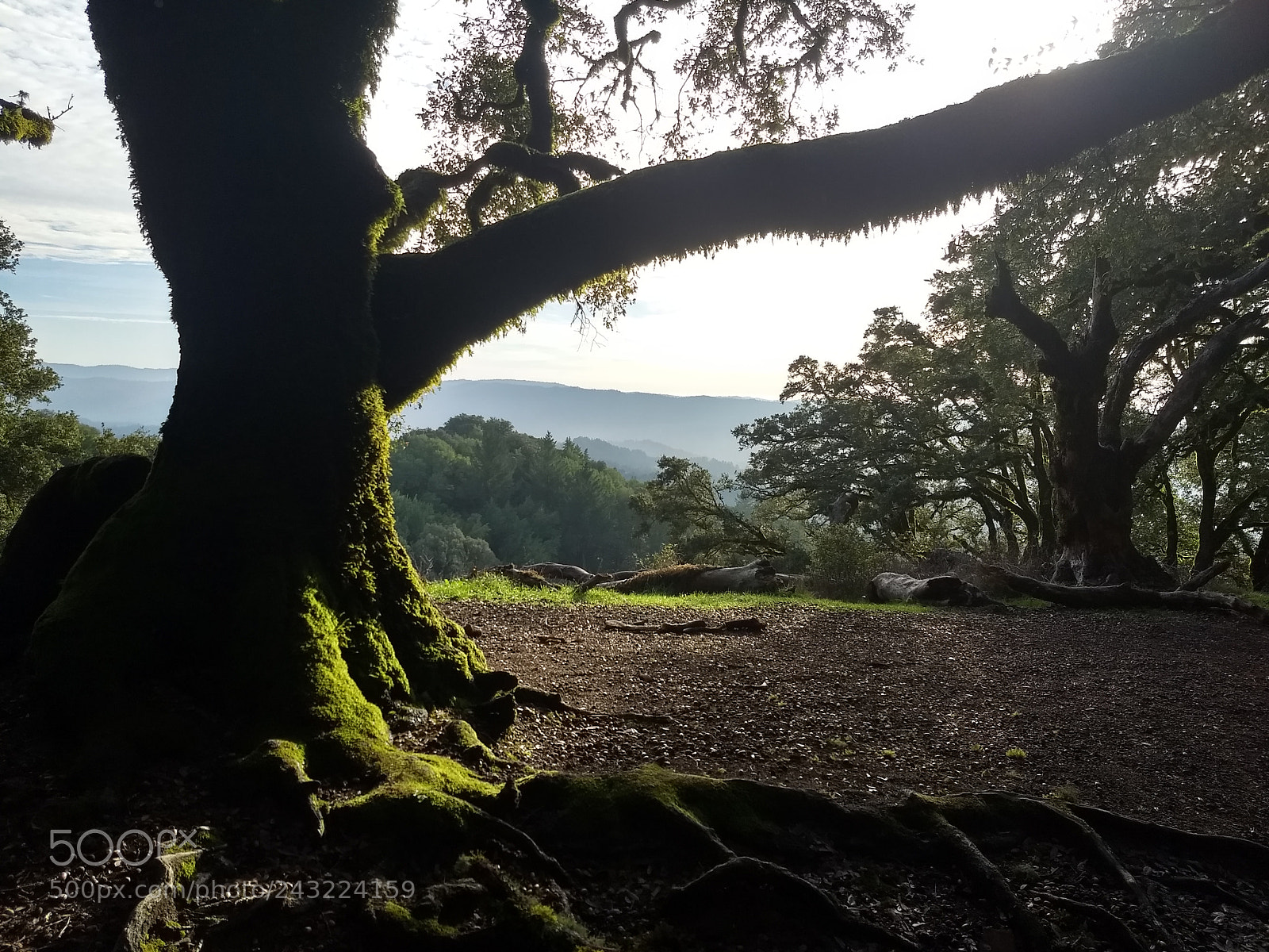 Motorola Moto G (5) Plus sample photo. Calm before dawn photography