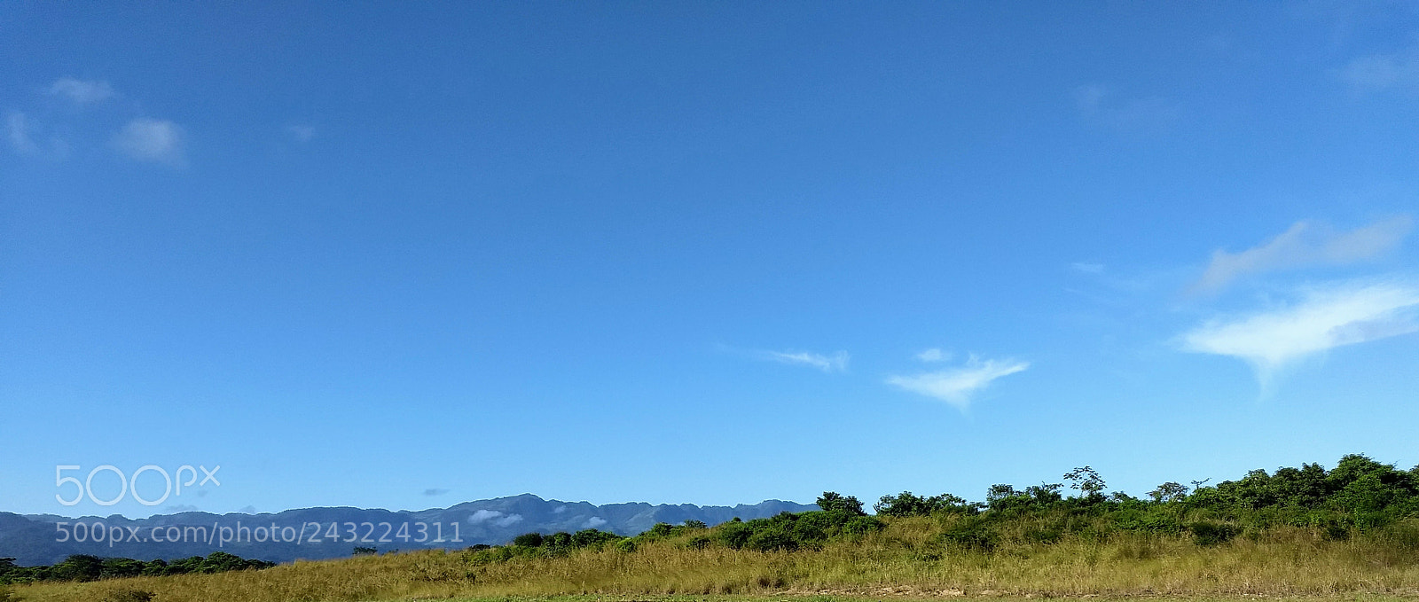 Motorola Moto Z (2) Play sample photo. Untitled photography