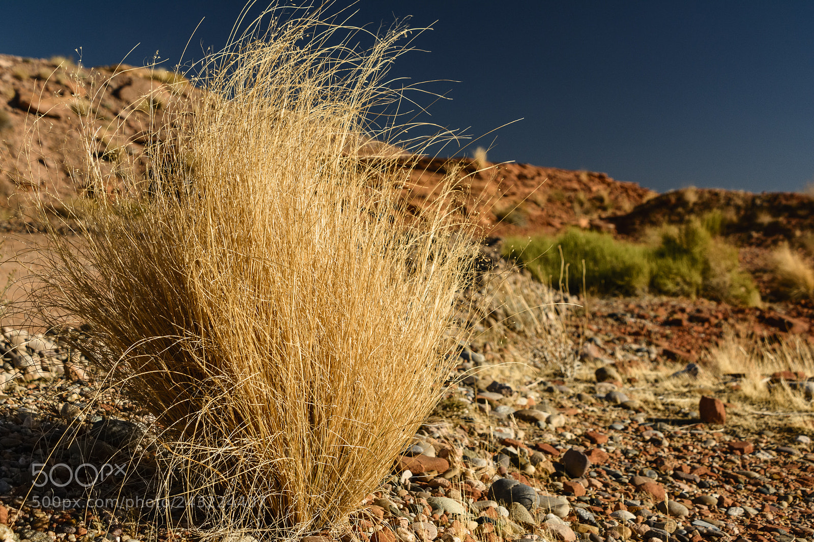 Nikon D7100 sample photo. Colours of a desert photography