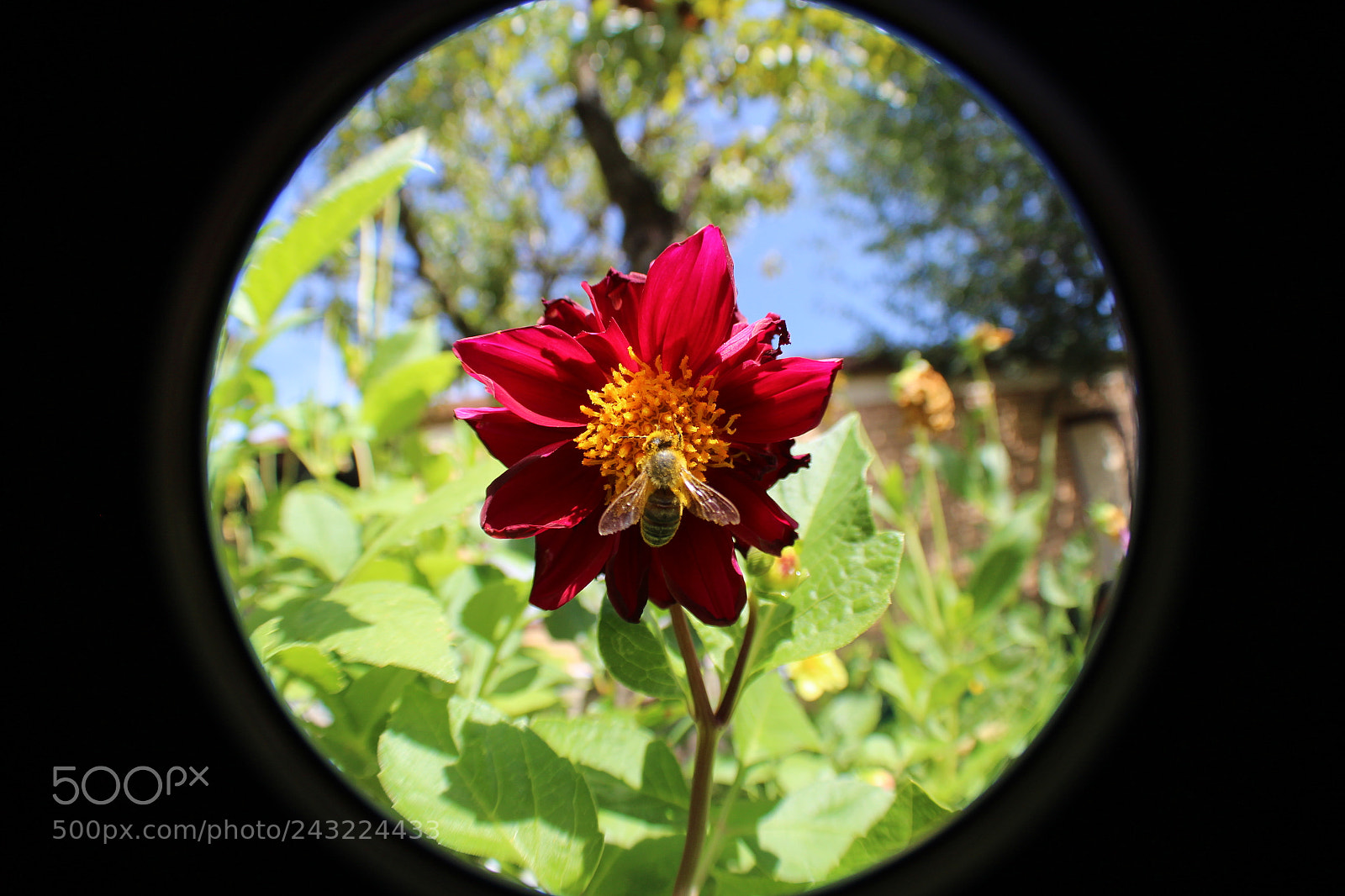 Canon EF-S 18-55mm F3.5-5.6 III sample photo. Untitled photography