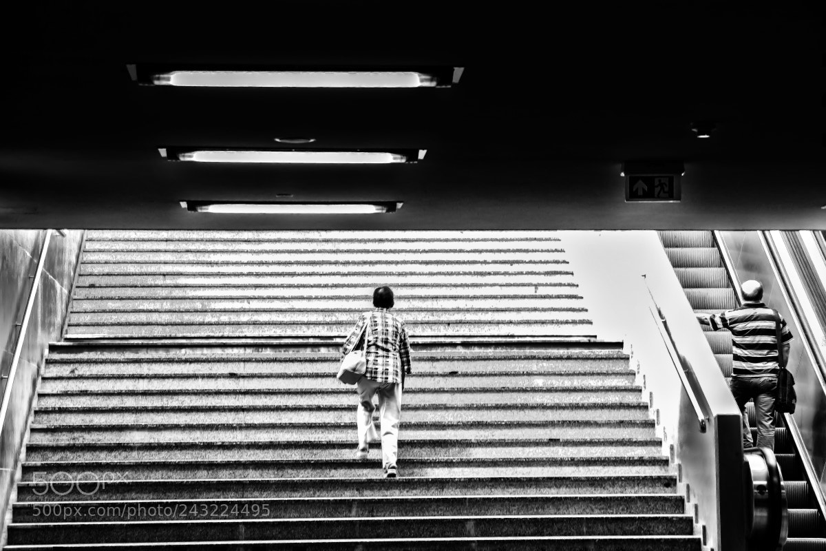 Nikon D500 sample photo. Equality of rights 2 photography