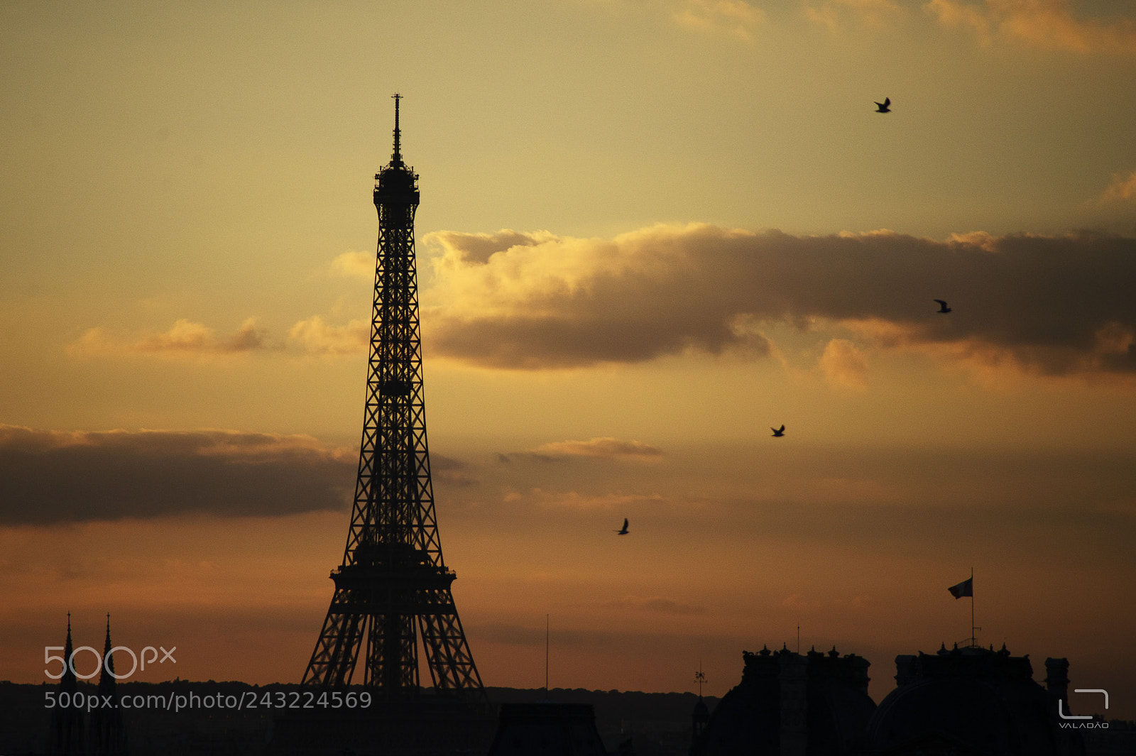 Nikon D610 sample photo. Eiffel tower photography