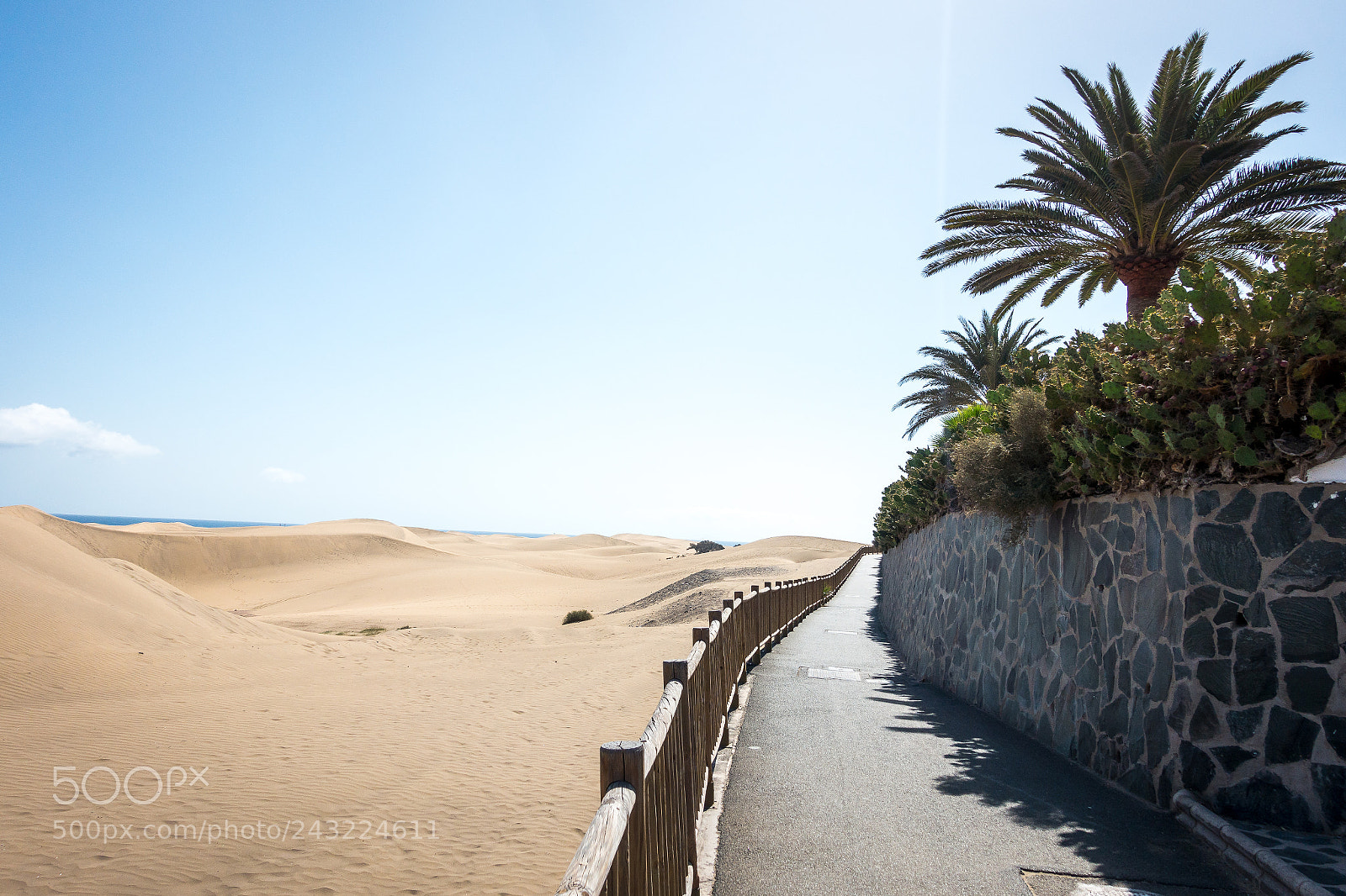 Sony Cyber-shot DSC-RX100 III sample photo. Maspalmos photography