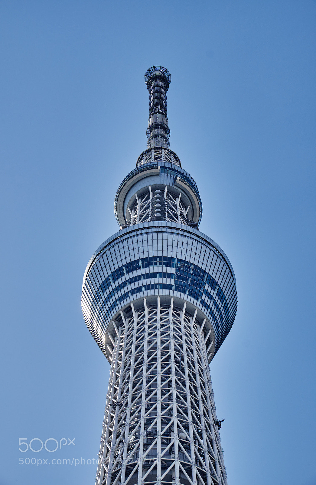 Fujifilm X-T1 sample photo. Dscf photography