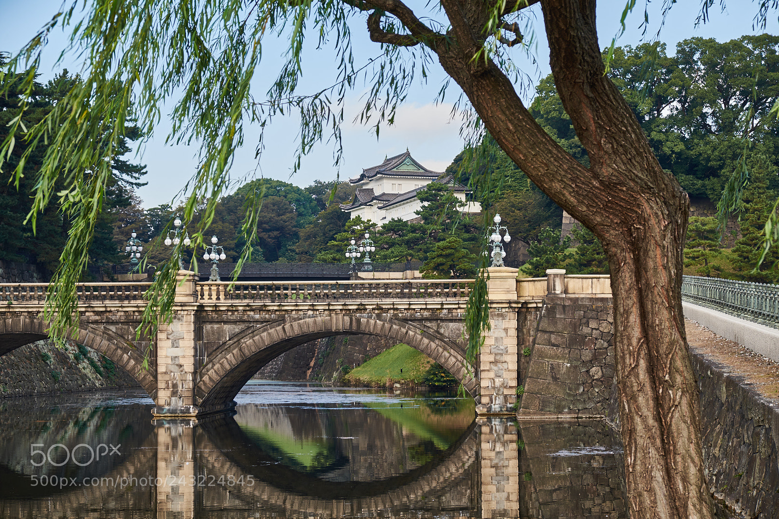 Fujifilm X-T1 sample photo. Dscf photography