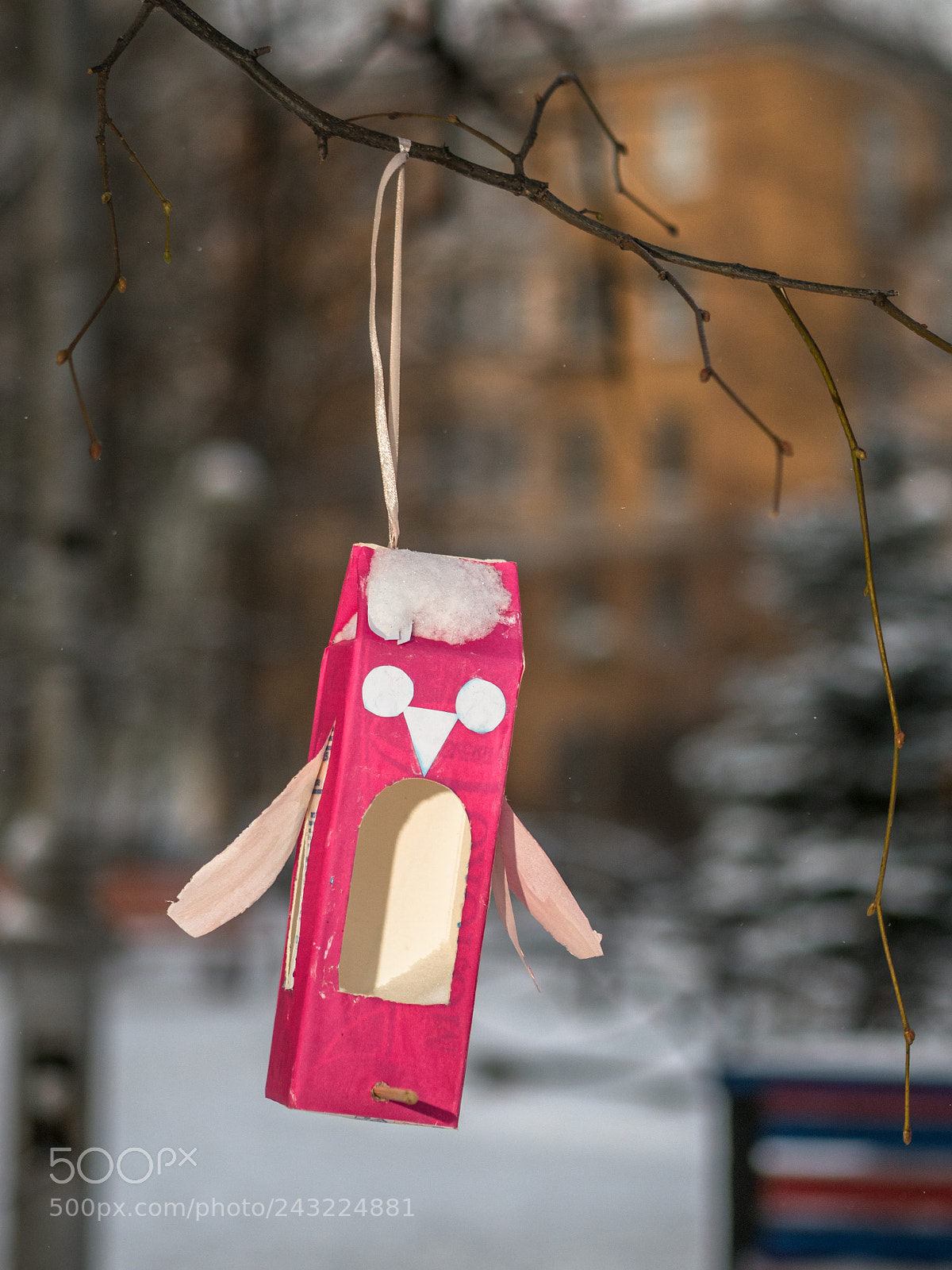 Olympus OM-D E-M5 II sample photo. Bird feeders photography