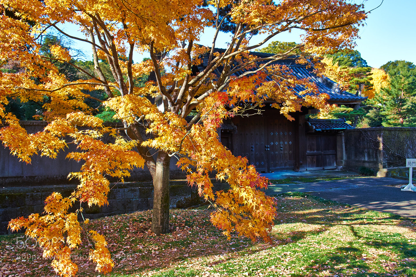 Fujifilm X-Pro1 sample photo. Japan photography