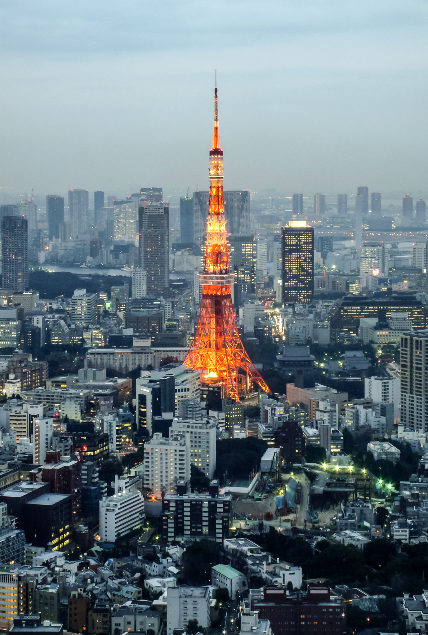 Leica D-LUX 3 sample photo. Tokyo tower photography