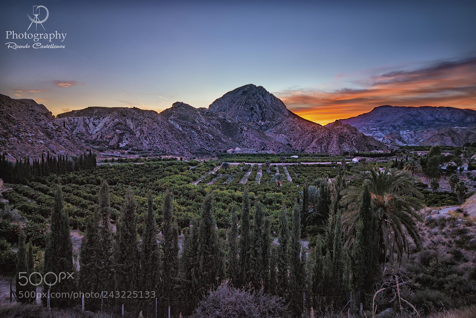 Sony SLT-A58 sample photo. Valle de ricote (murcia). photography