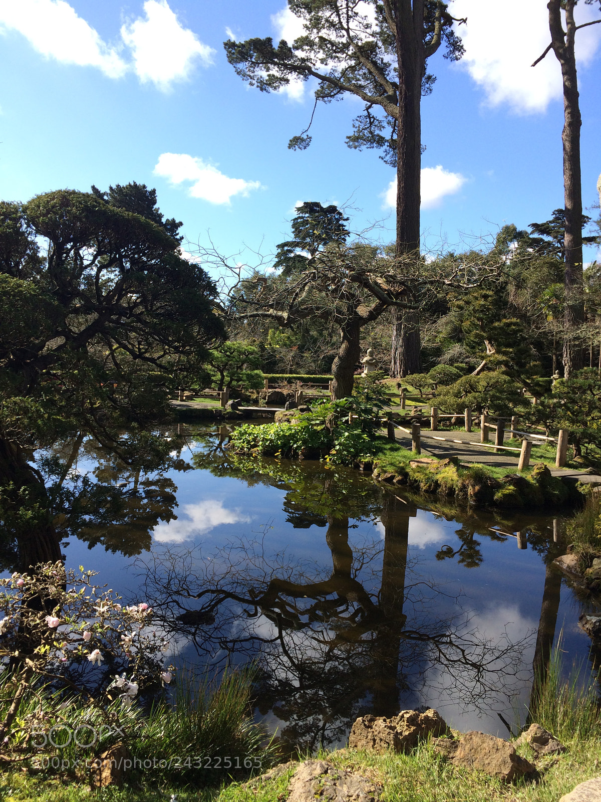 Apple iPhone 5s sample photo. San francisco japanese garden photography