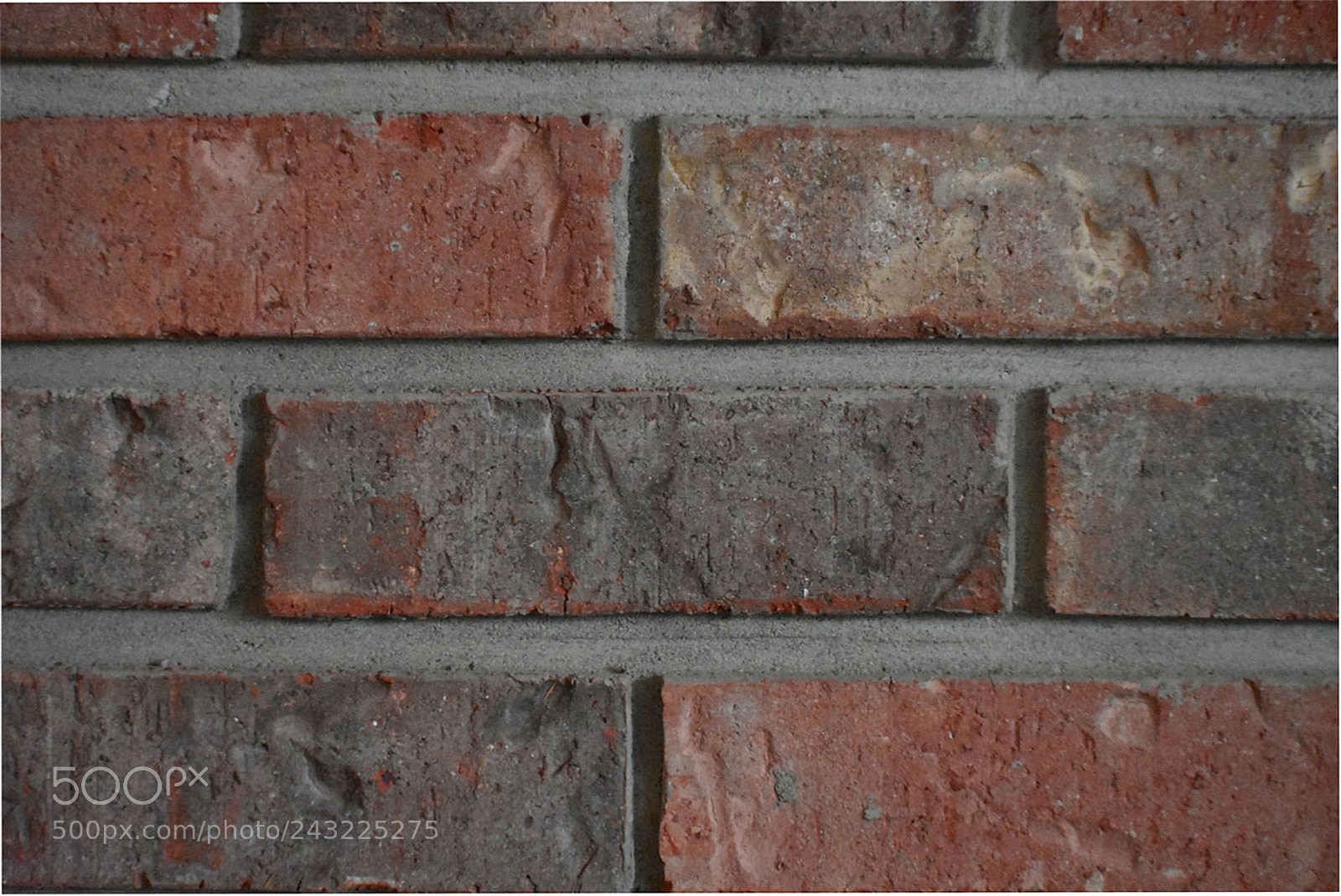 Nikon D3400 sample photo. Brick texture photography