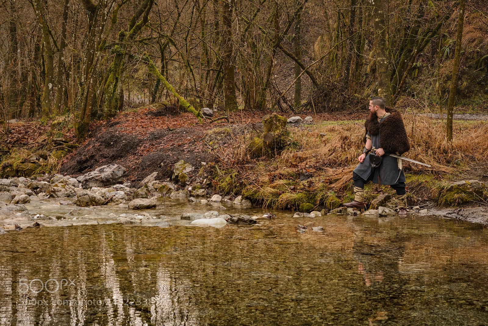 Nikon D600 sample photo. Viking warrior on the photography