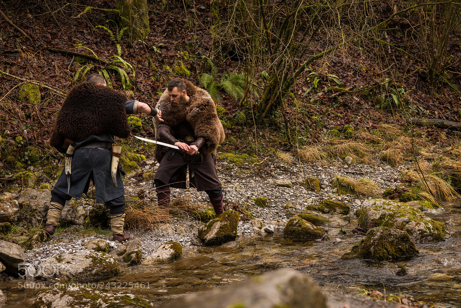 Nikon D600 sample photo. Viking warriors on the photography