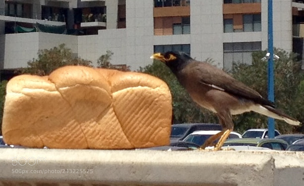 Apple iPhone 4S sample photo. King size breakfast photography