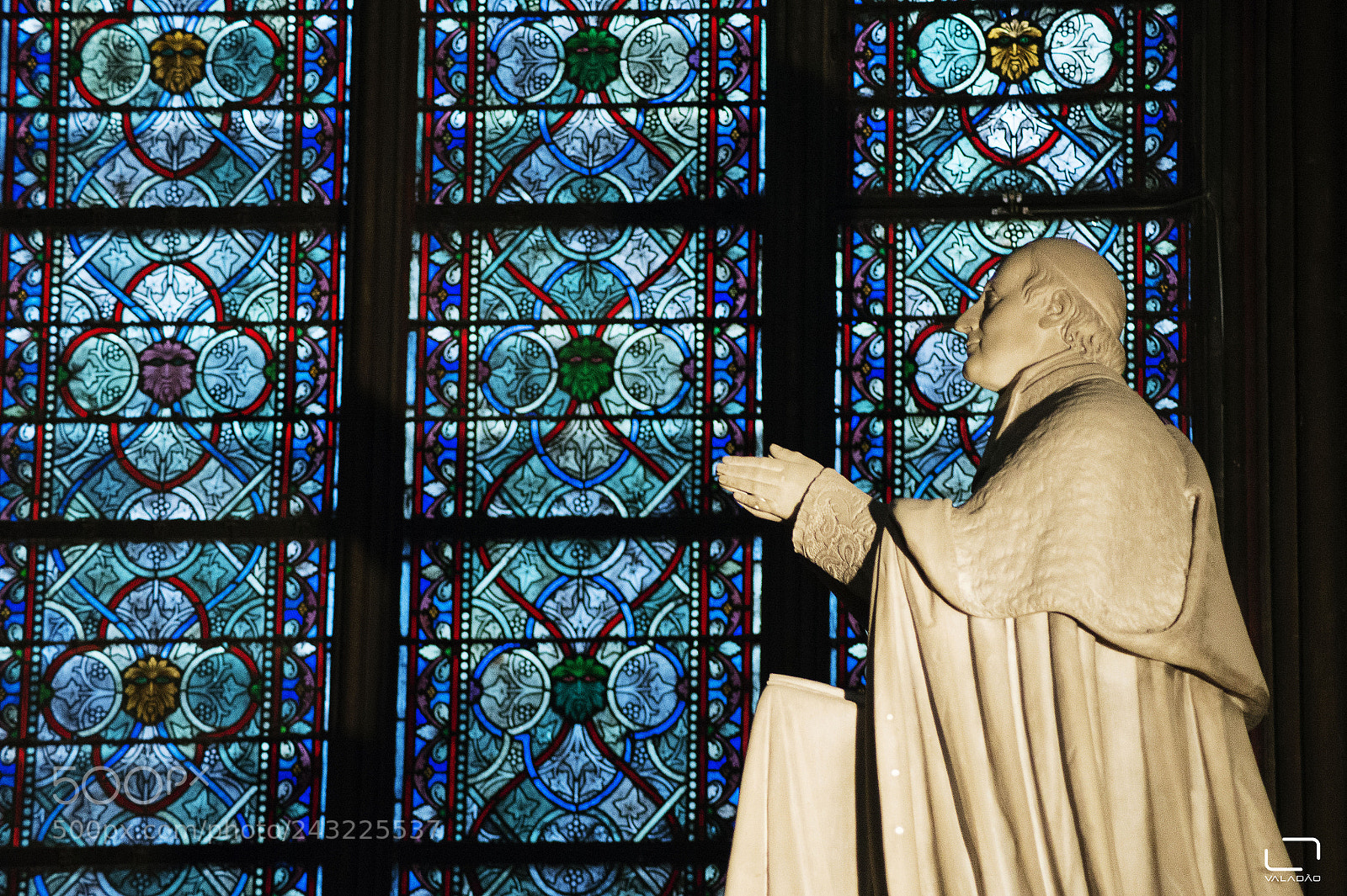 Nikon D610 sample photo. Notre dame - paris photography