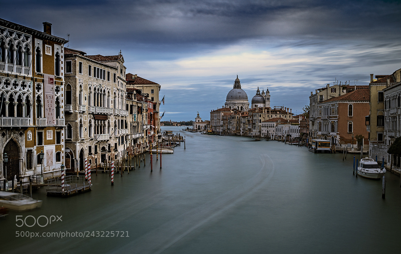 Nikon D810 sample photo. Venice heaven photography