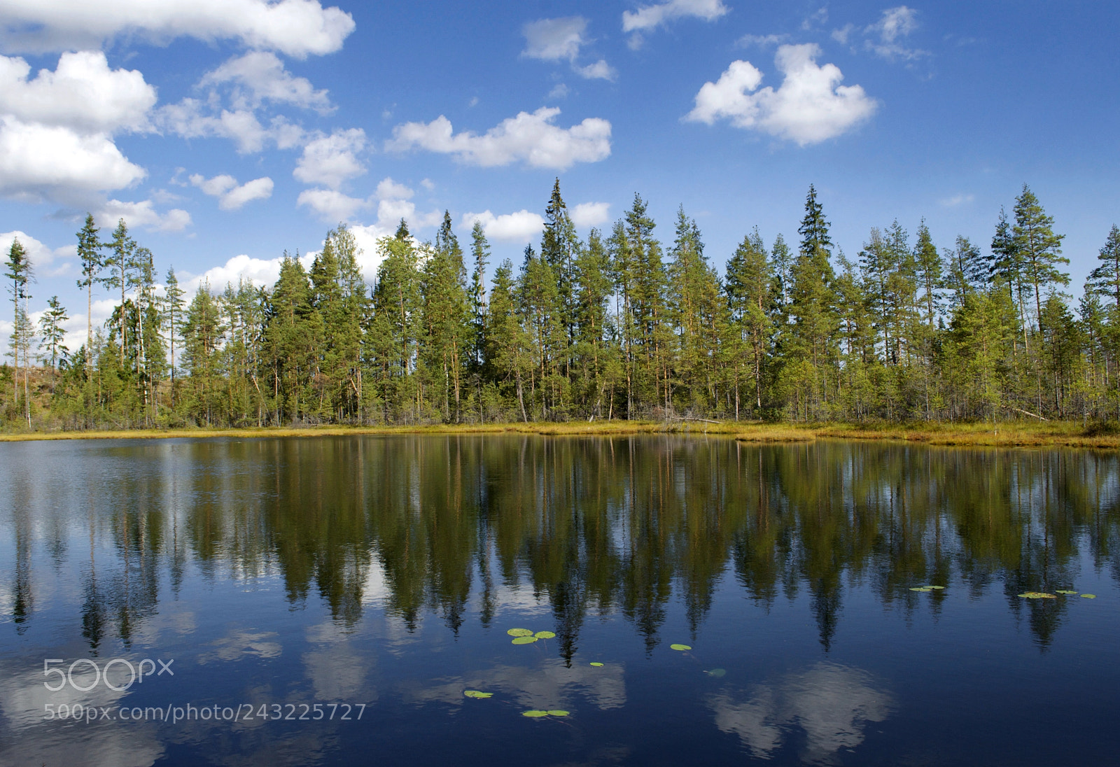 Nikon D3200 sample photo. Karelian lake photography