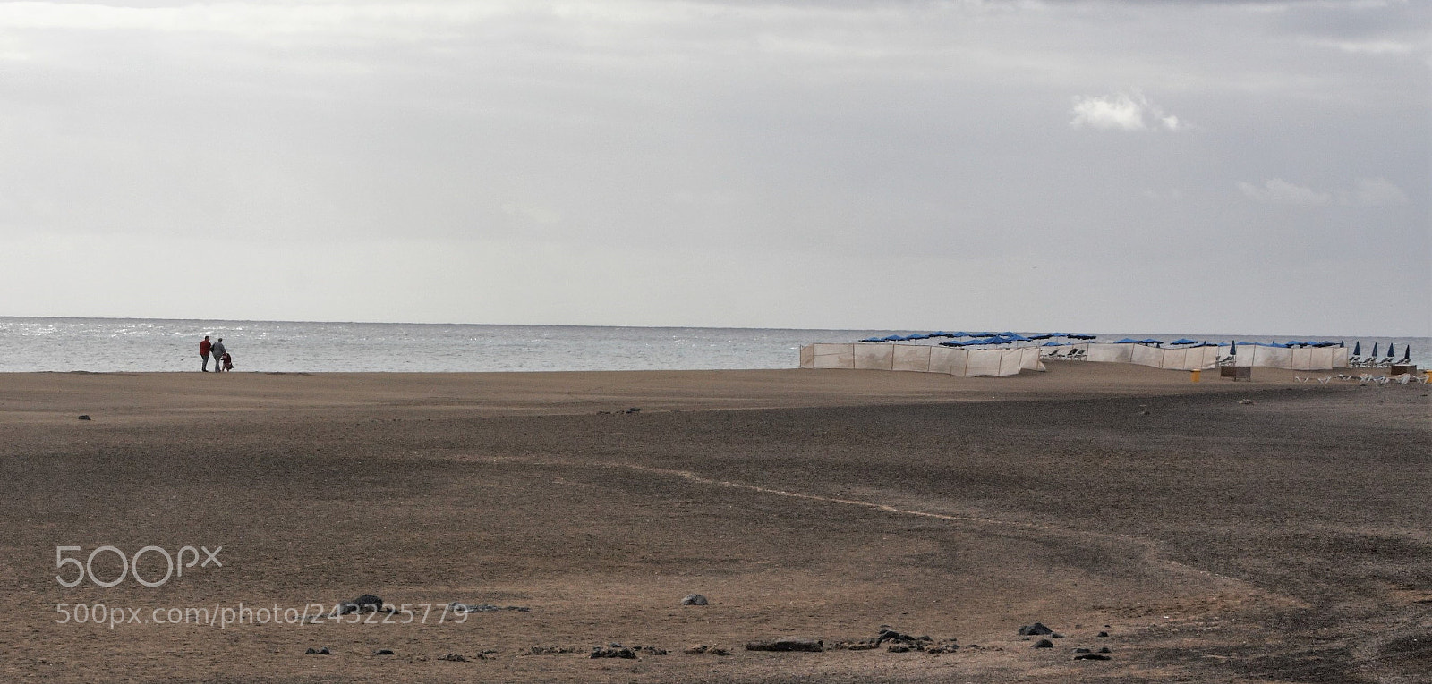 Canon EOS 40D sample photo. Oasis photography