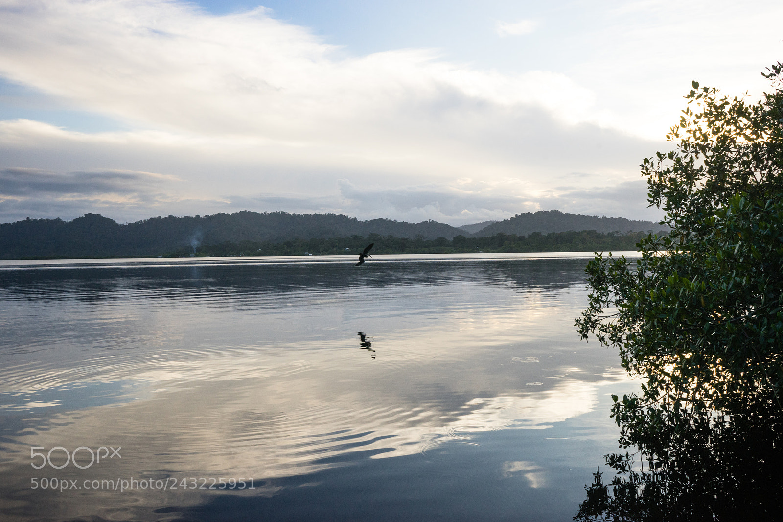 Sony a7 sample photo. Calm photography