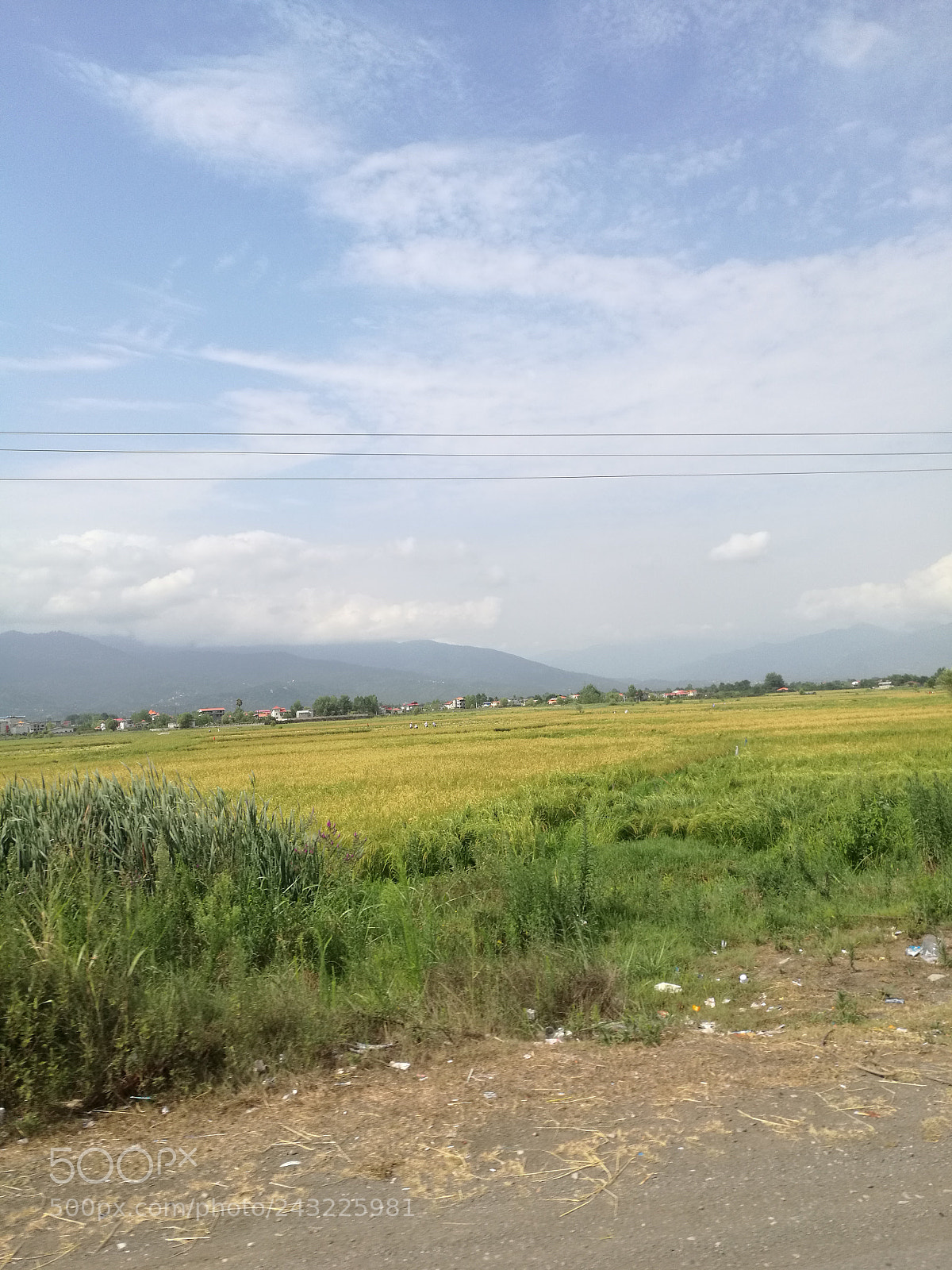 HUAWEI Mate 8 sample photo. Cloudy 7 photography