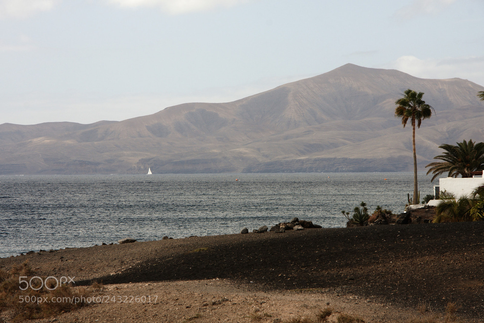 Canon EOS 40D sample photo. Peace photography