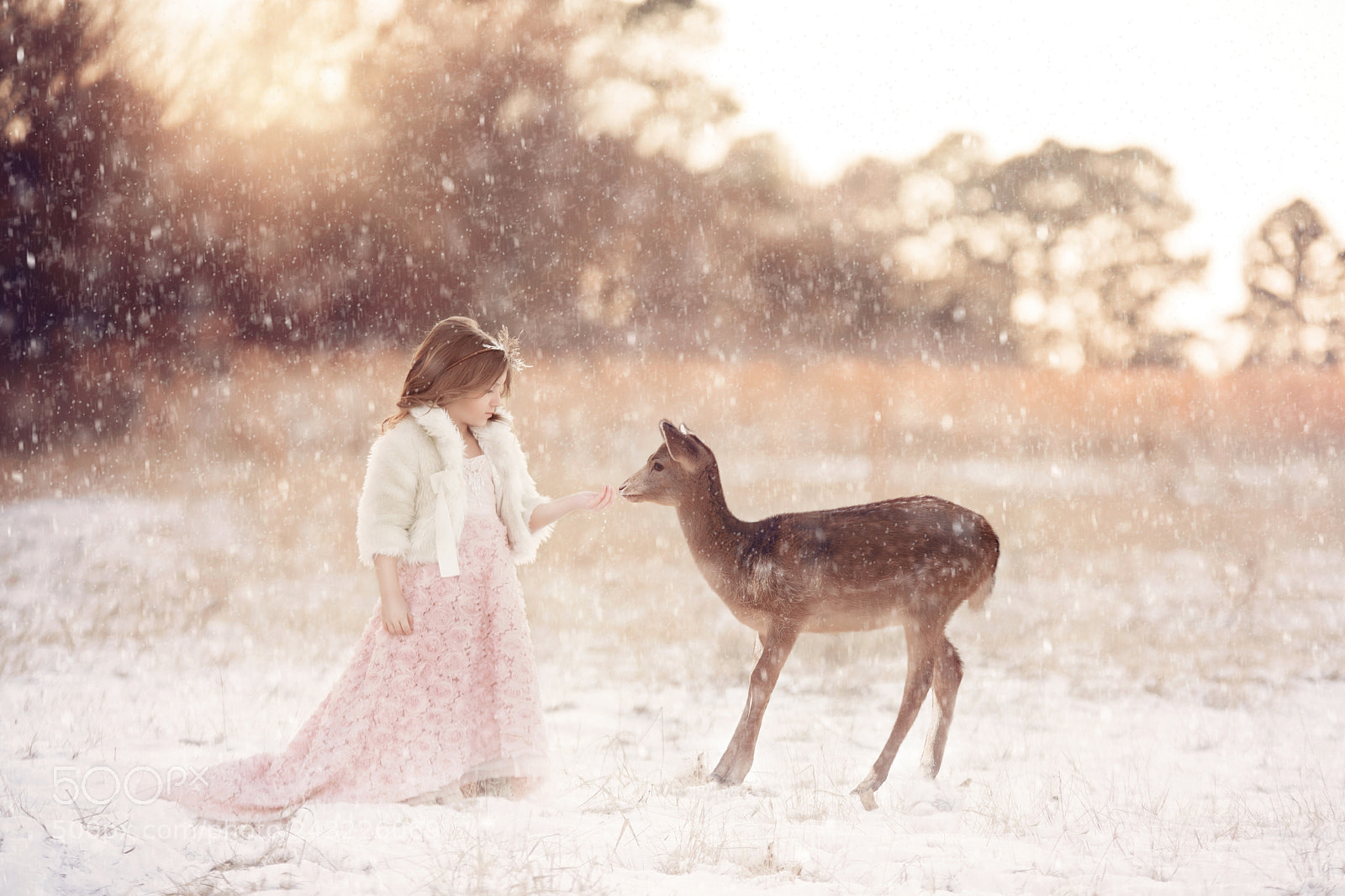 Nikon D750 sample photo. Winter innocence photography