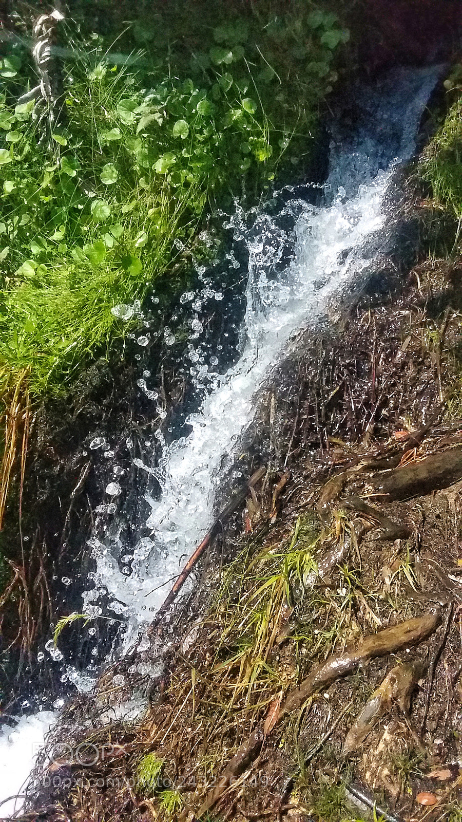Samsung Galaxy Grand Prime sample photo. Instante photography