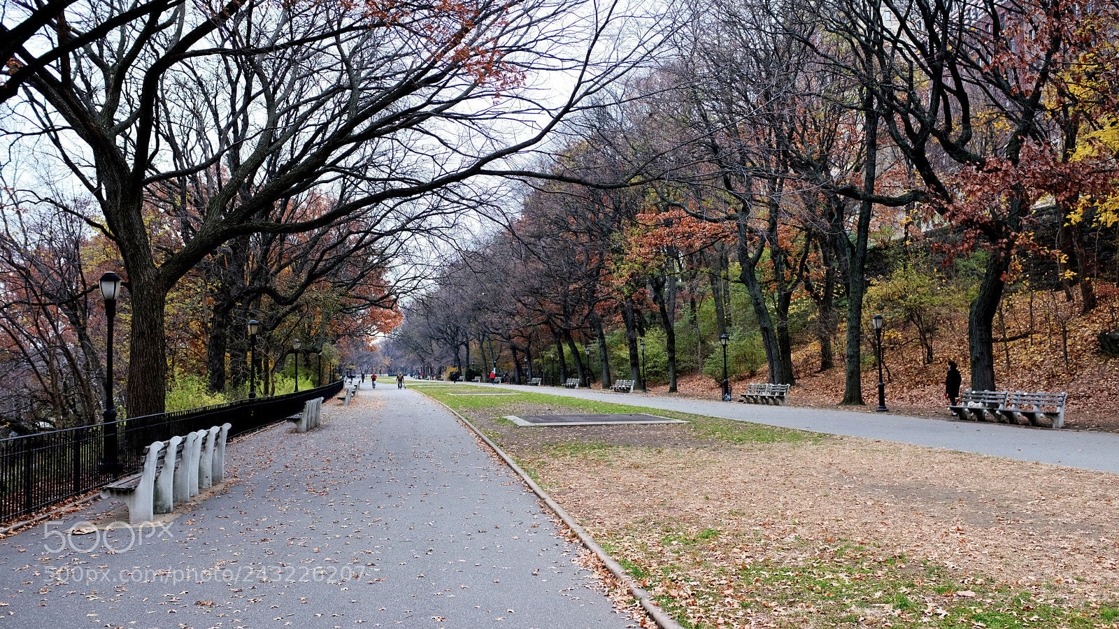Fujifilm X100F sample photo. Proc photography