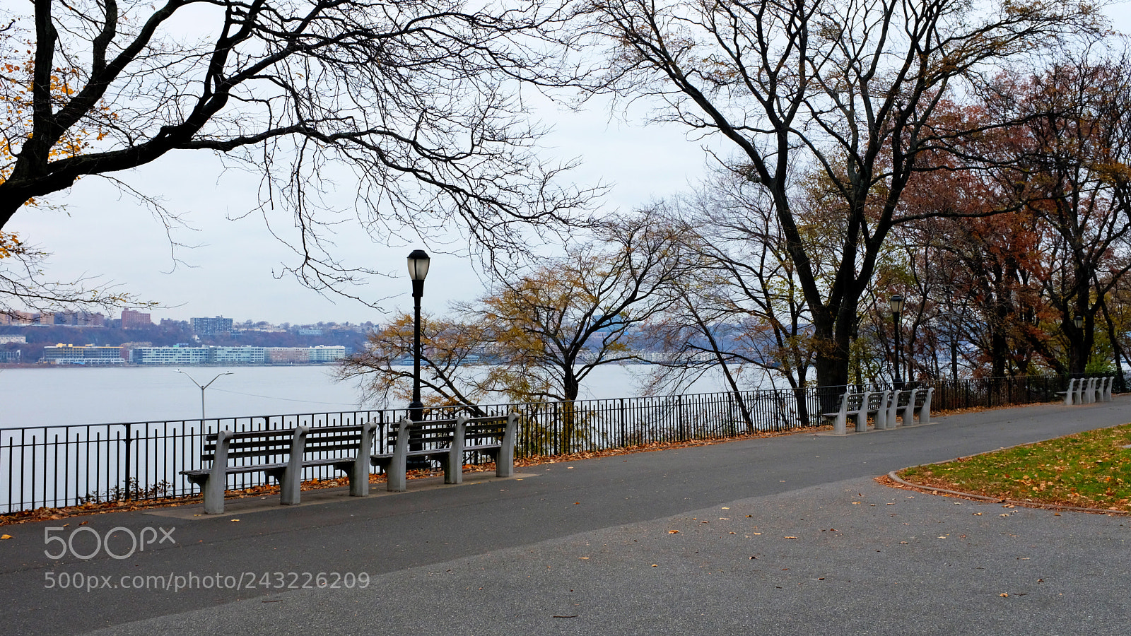 Fujifilm X100F sample photo. Proc photography
