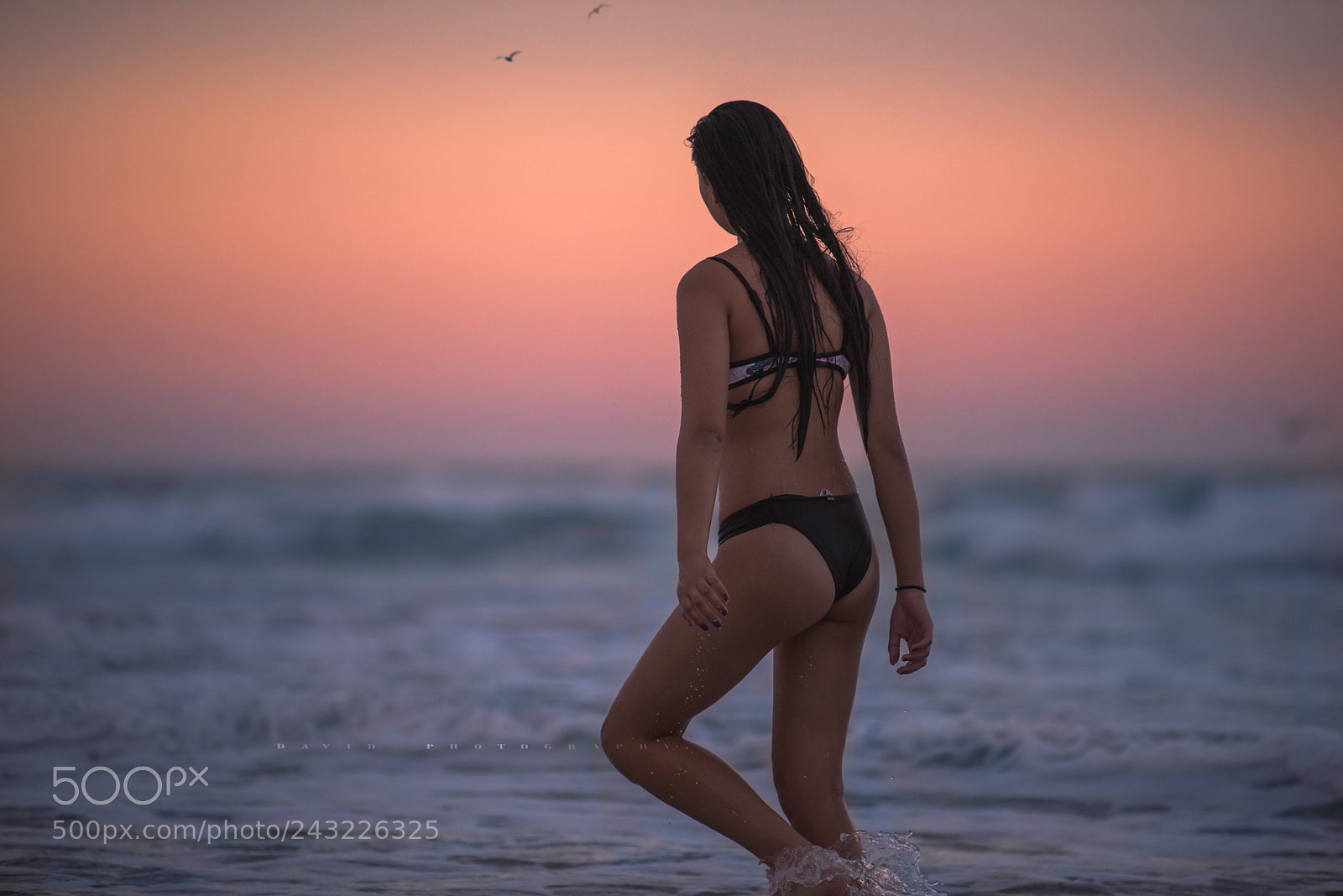 Nikon D810 sample photo. Untitled photography