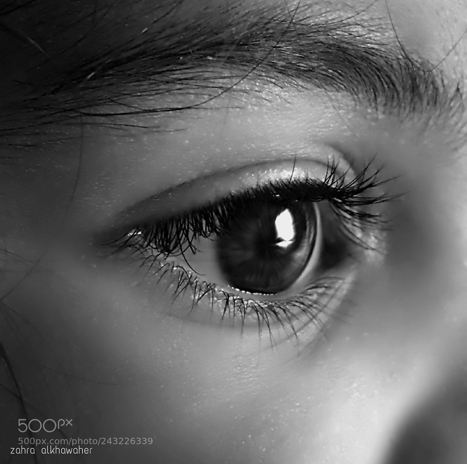 Apple iPhone 7 Plus sample photo. لغه العين ابلغ من الف كلام... photography