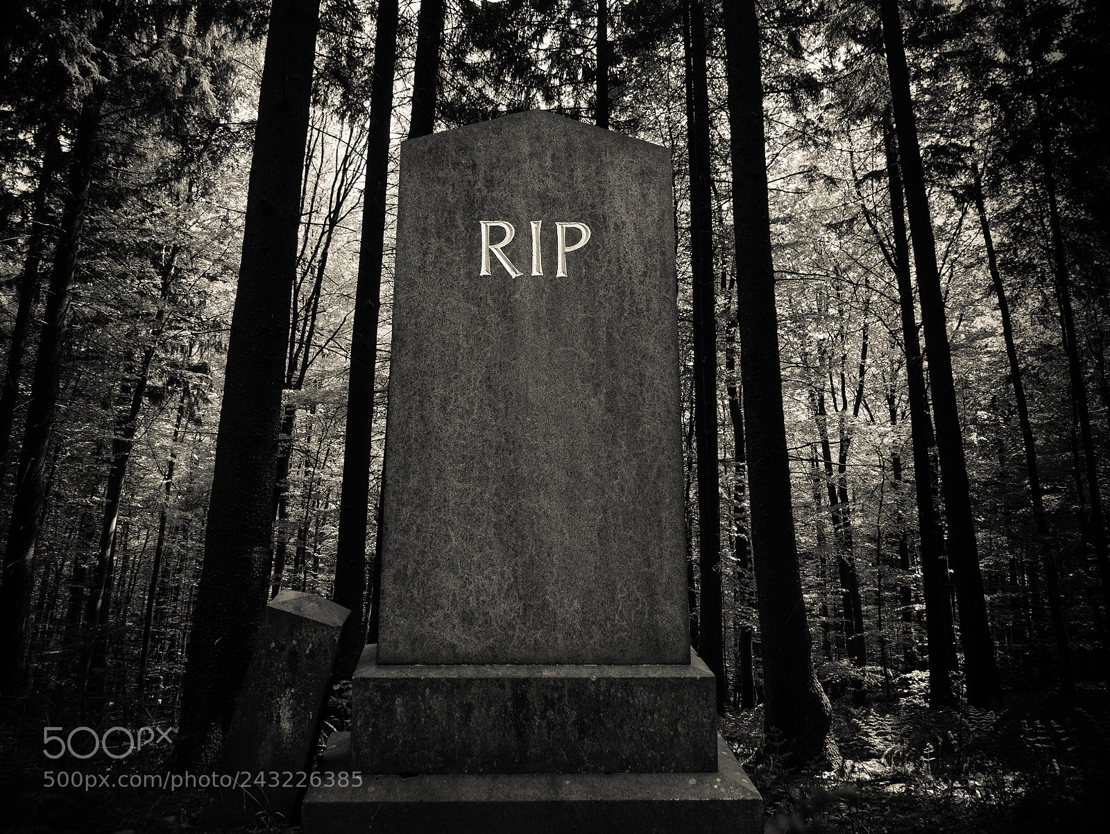 Panasonic Lumix DMC-LX100 sample photo. Spooky forest gravestone photography