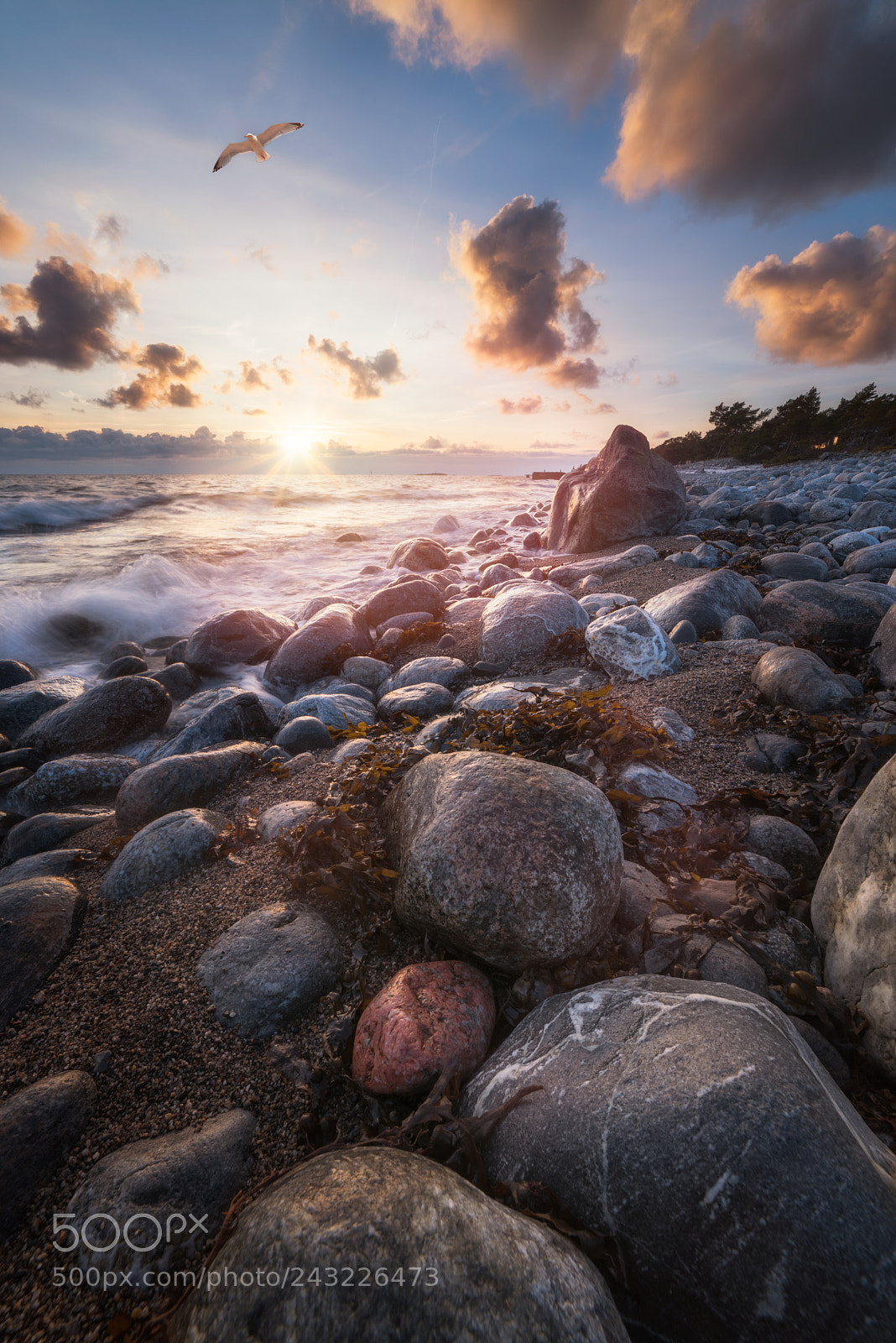 Nikon D810 sample photo. Torö nynäshamn photography