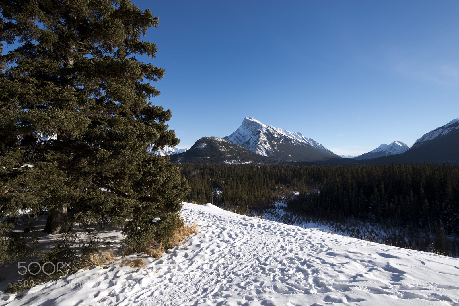 Pentax K-1 sample photo. Banff photography