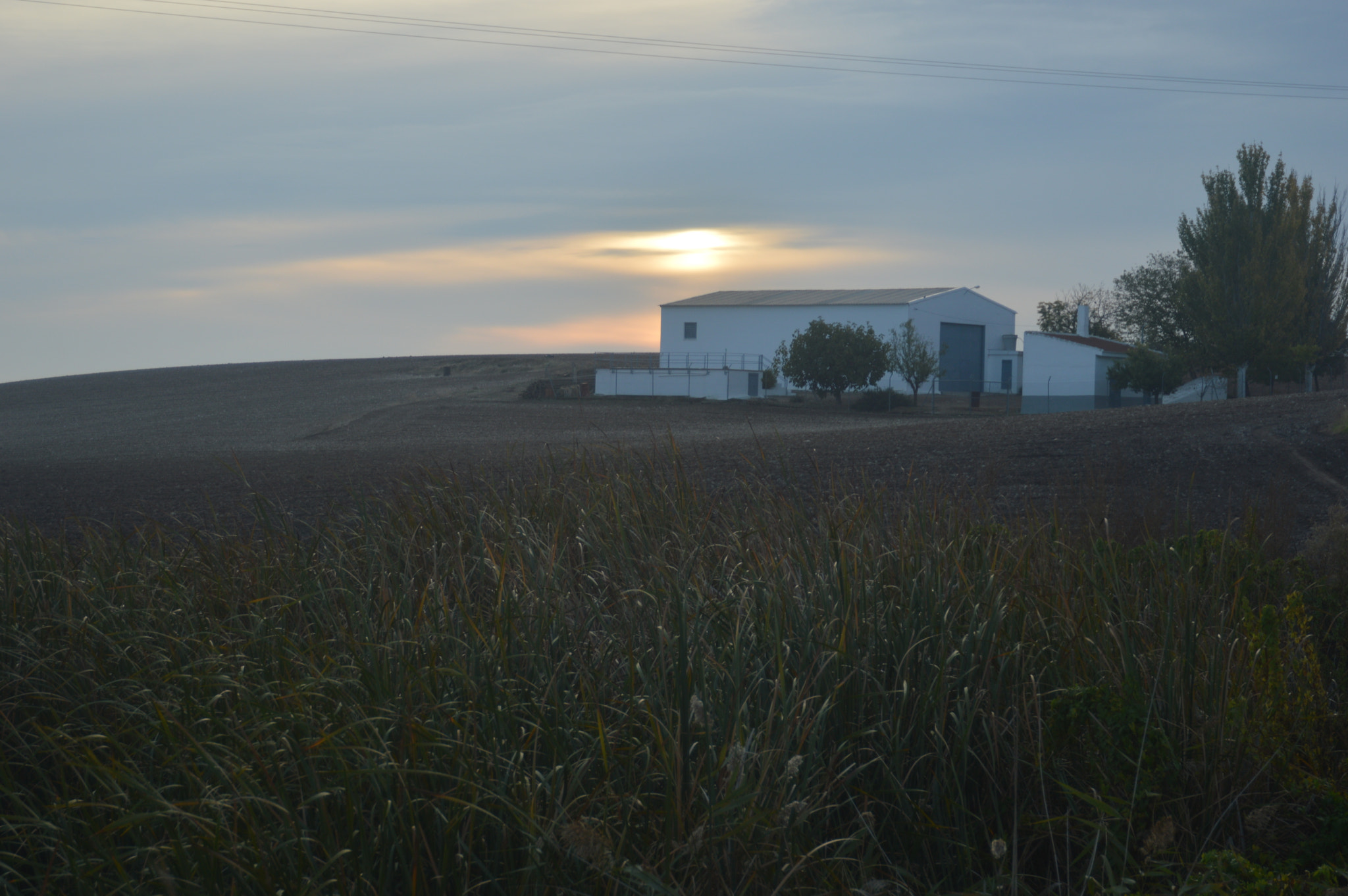 Nikon D3200 sample photo. Intitulada photography