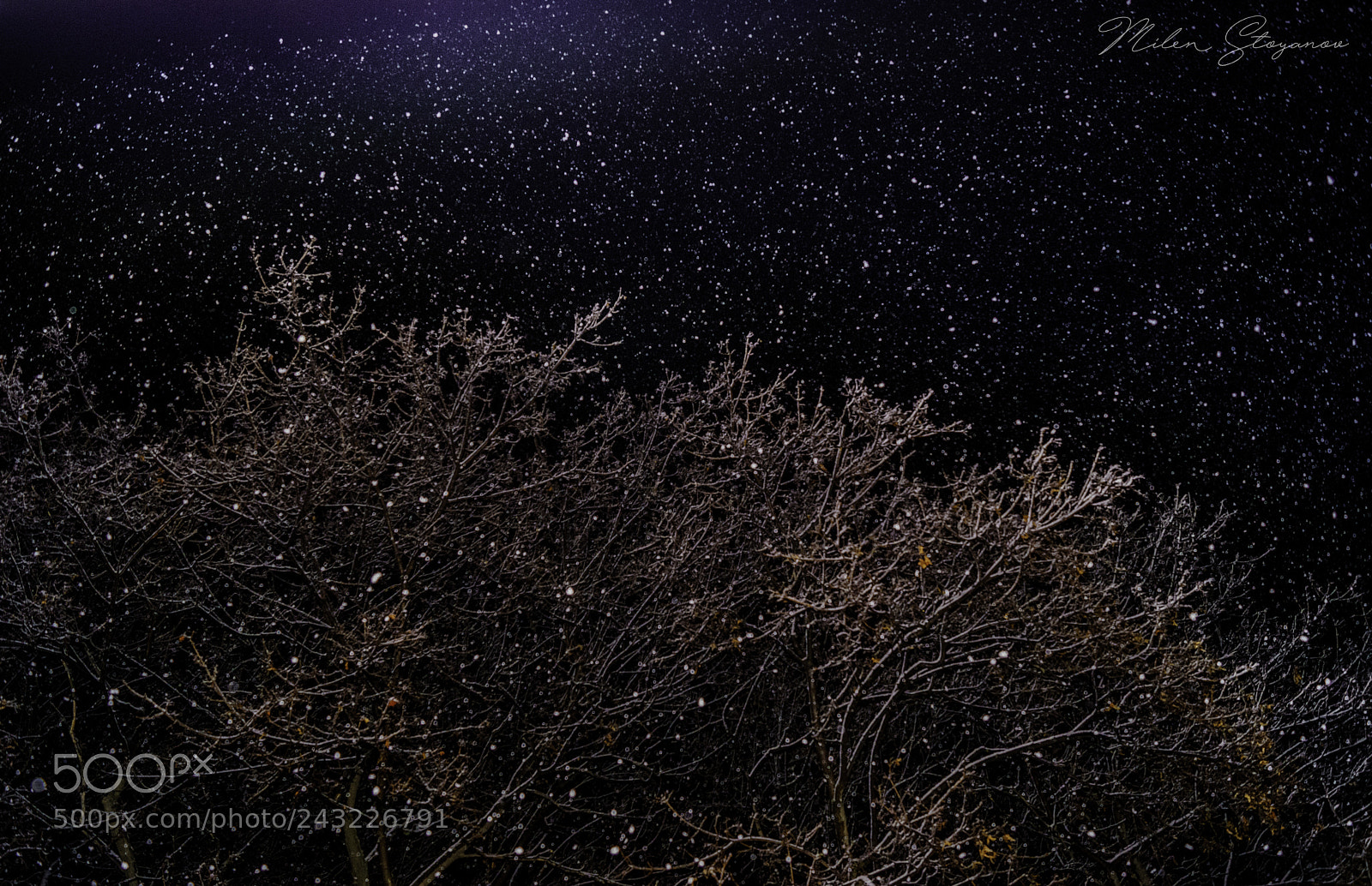 Sony SLT-A68 sample photo. Night photography