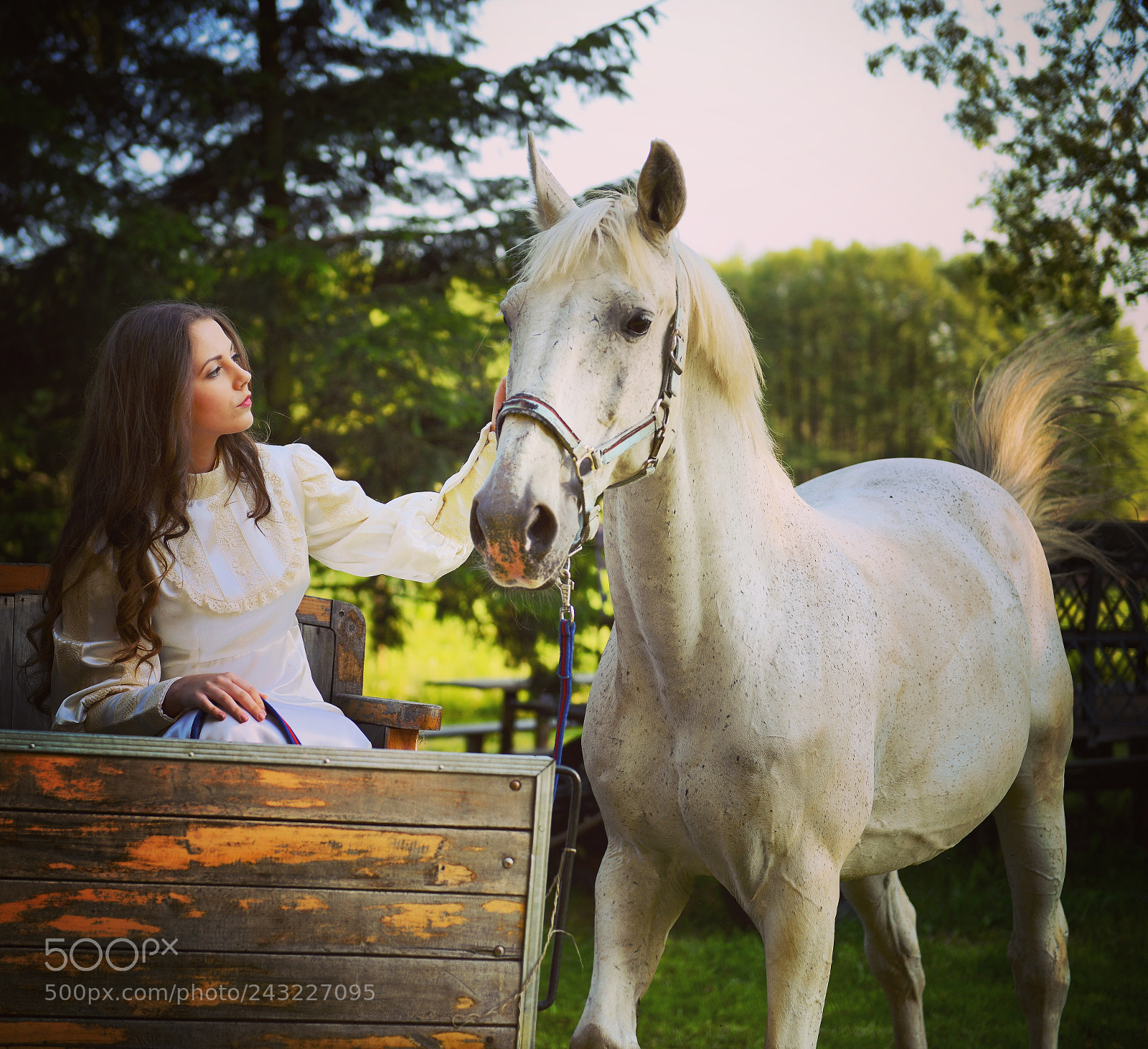 Nikon D800 sample photo. Dream ... photography