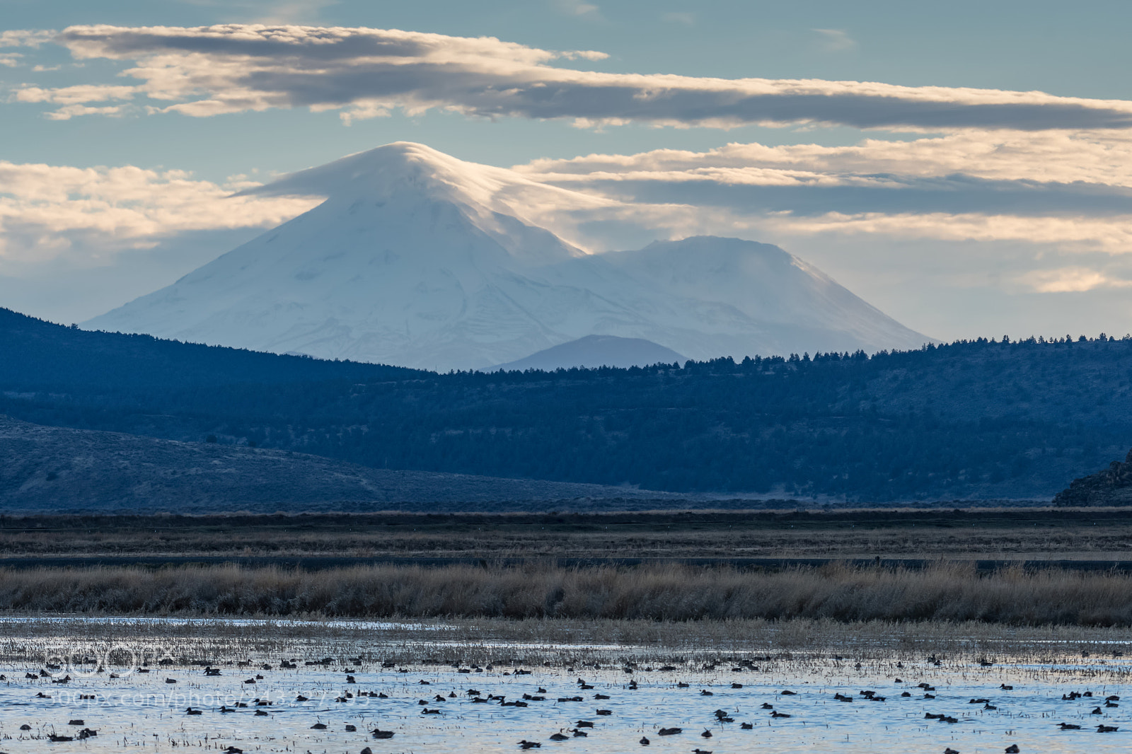 Nikon D500 sample photo. Shasta with cap cloud photography