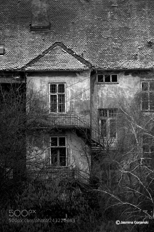 Olympus OM-D E-M1 sample photo. Spooky house photography