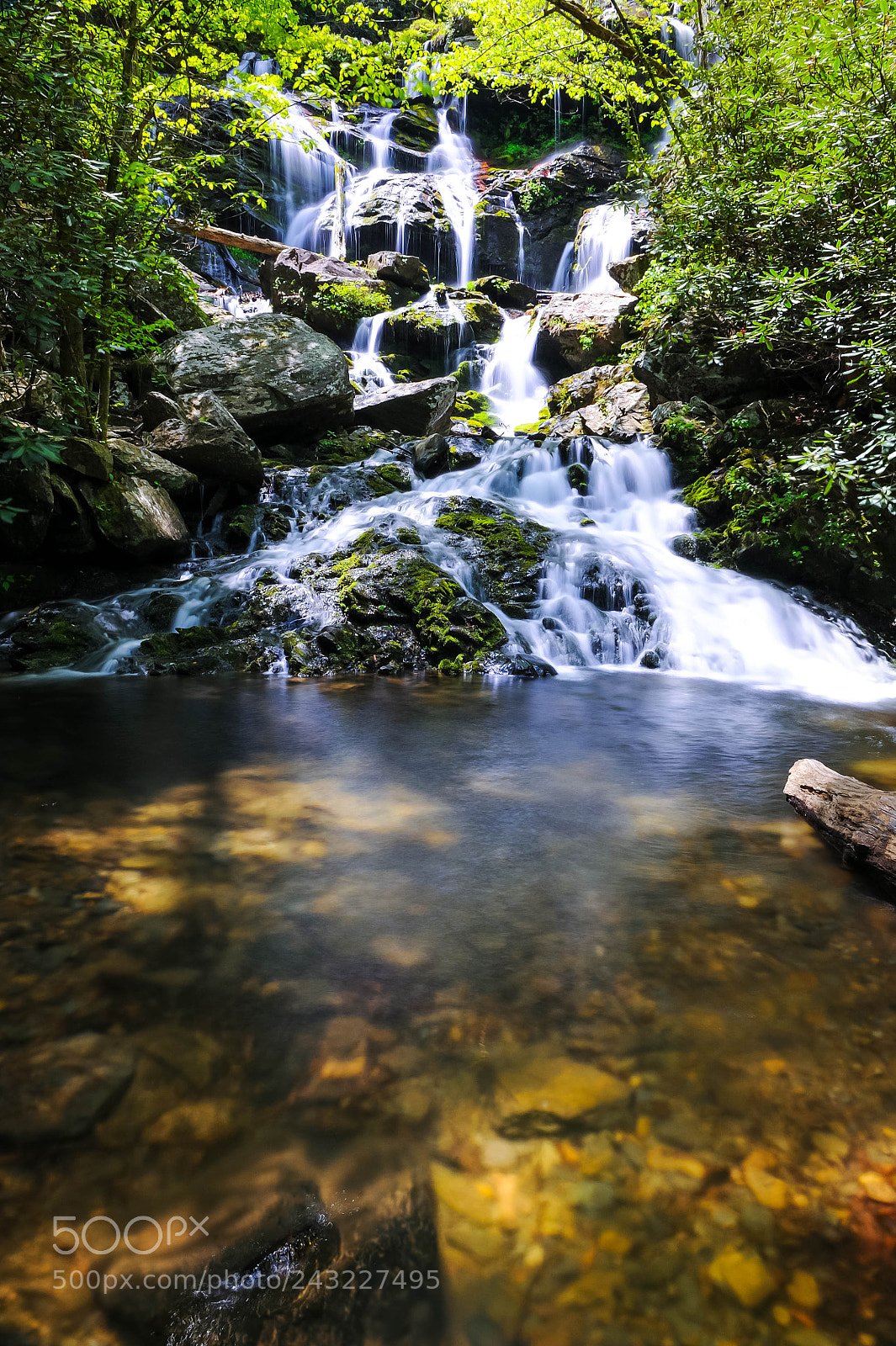Nikon D700 sample photo. Catawba falls photography