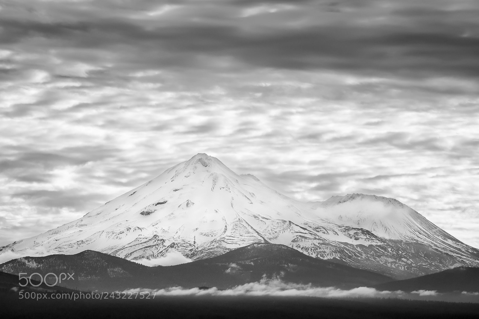 Nikon D500 sample photo. Shasta with clouds from photography