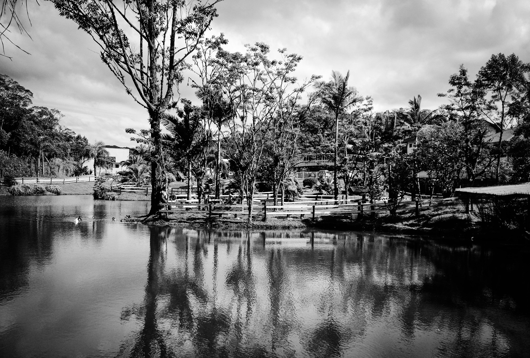 Motorola Moto X (2nd Gen) sample photo. Dona francisca's lake photography